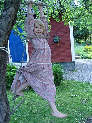 SN153555.JPG SN153555.JPG