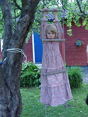 SN153561.JPG SN153561.JPG