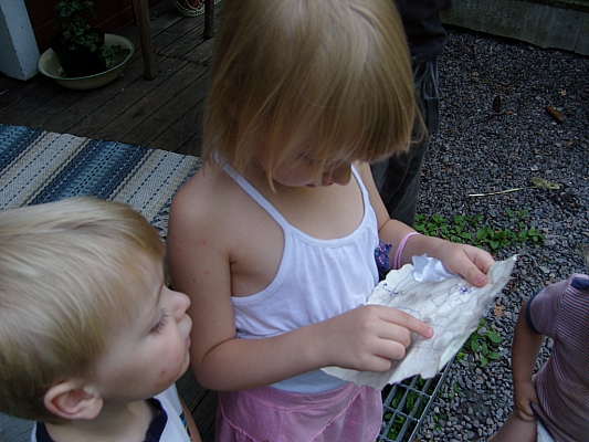 SN153447.JPG SN153447.JPG