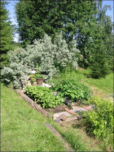 S� h�r s�g landet ut efter ett tag.