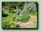 [Klicka f�r att f�rstora bilden]