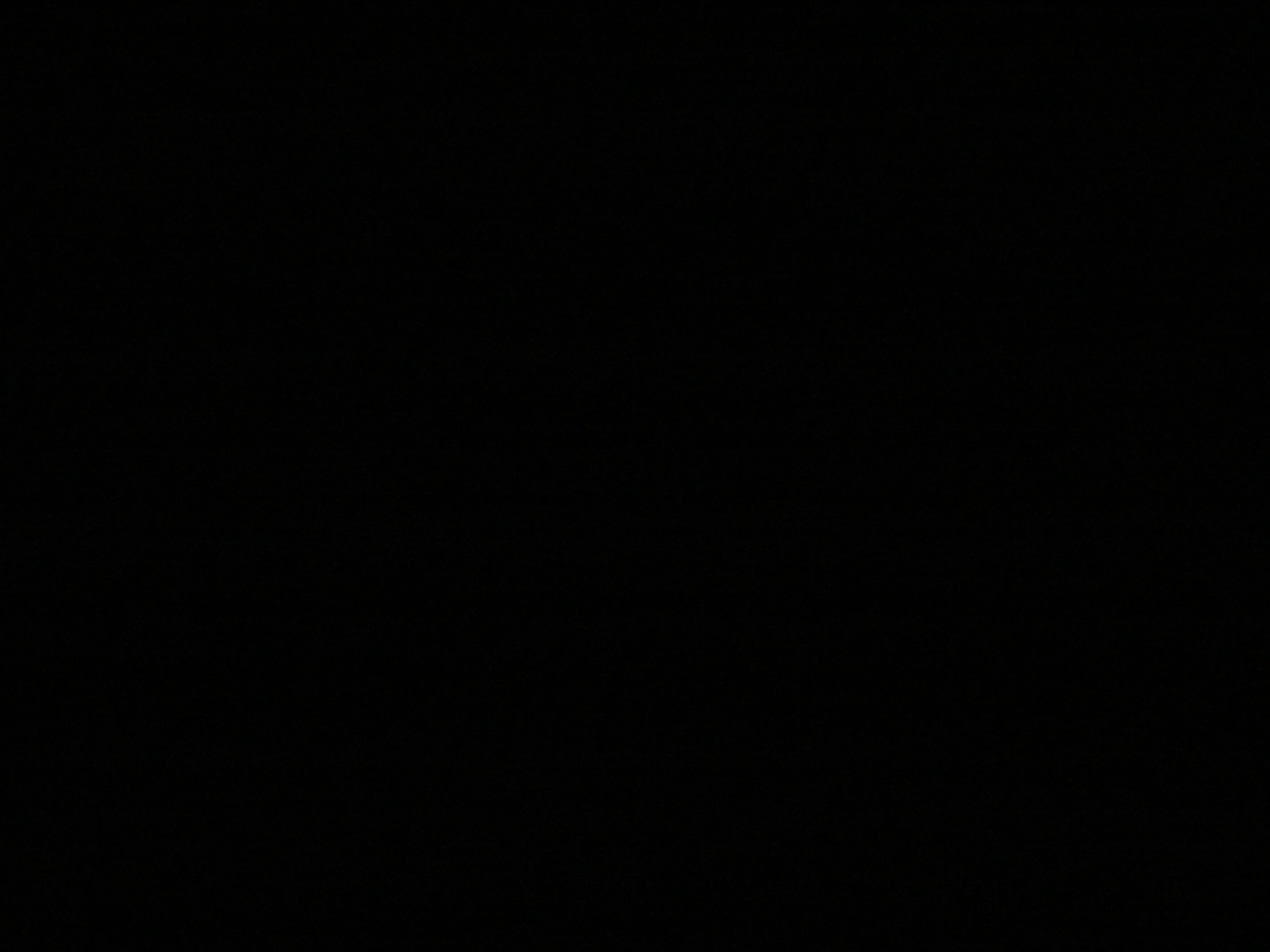 P1080904.JPG