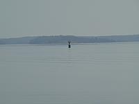 P1090379.jpg