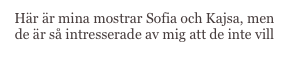 Här är mina mostrar Sofia och Kajsa, men de är så intresserade av mig att de inte vill synas.