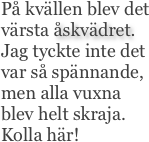 På kvällen blev det värsta åskvädret. Jag tyckte inte det var så spännande, men alla vuxna blev helt skraja. Kolla här!
