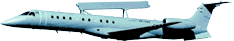 ERIEYE/SIVAM image